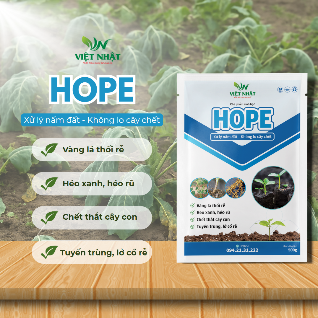 san-pham-hope-quoc-te-viet-nhat