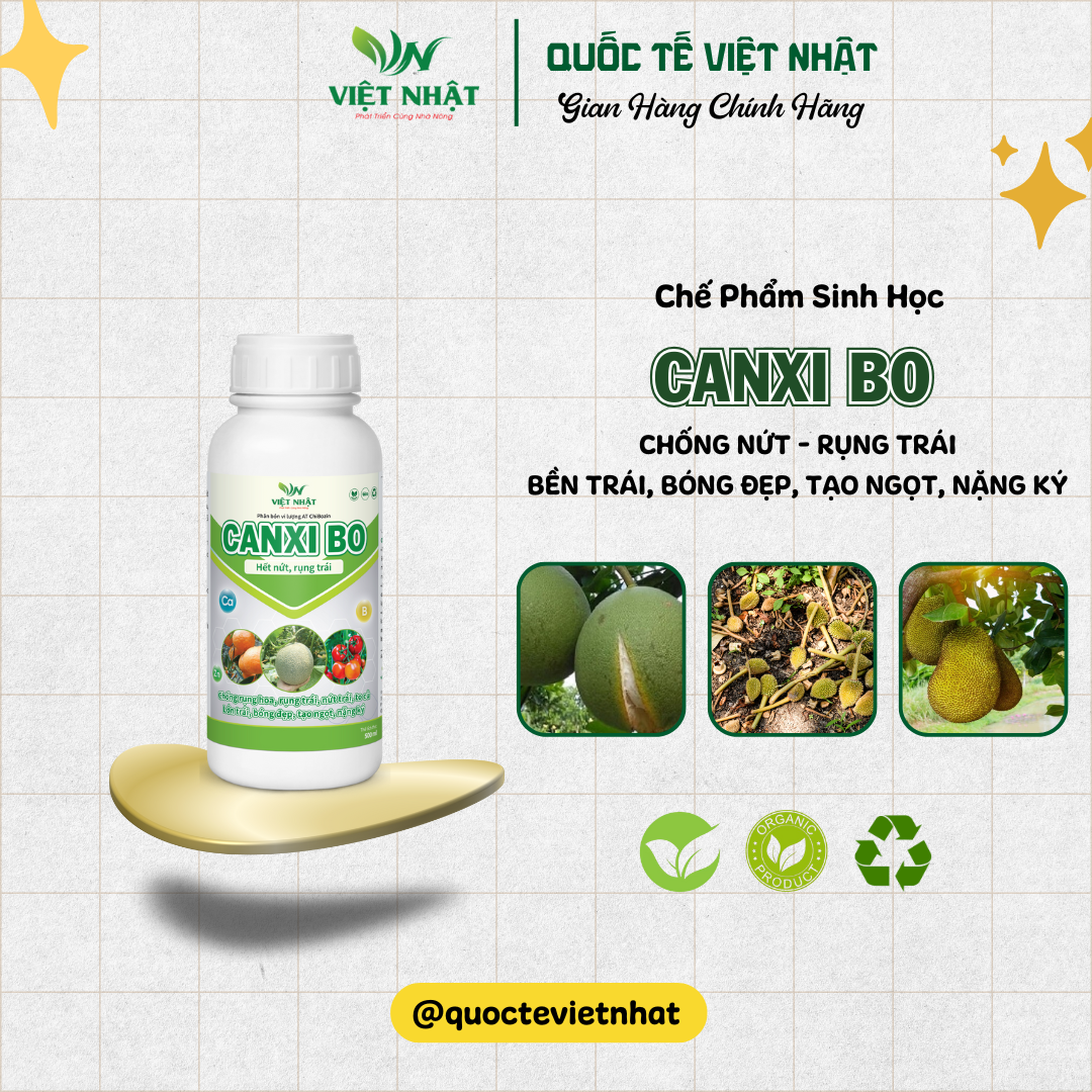 canxi-bo