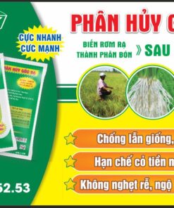 PHÂN HỦY GỐC RẠ