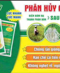 PHÂN HỦY GỐC RẠ