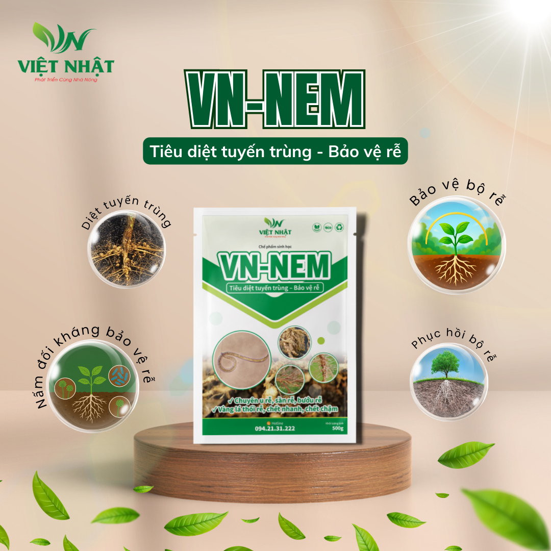 VN-NEM